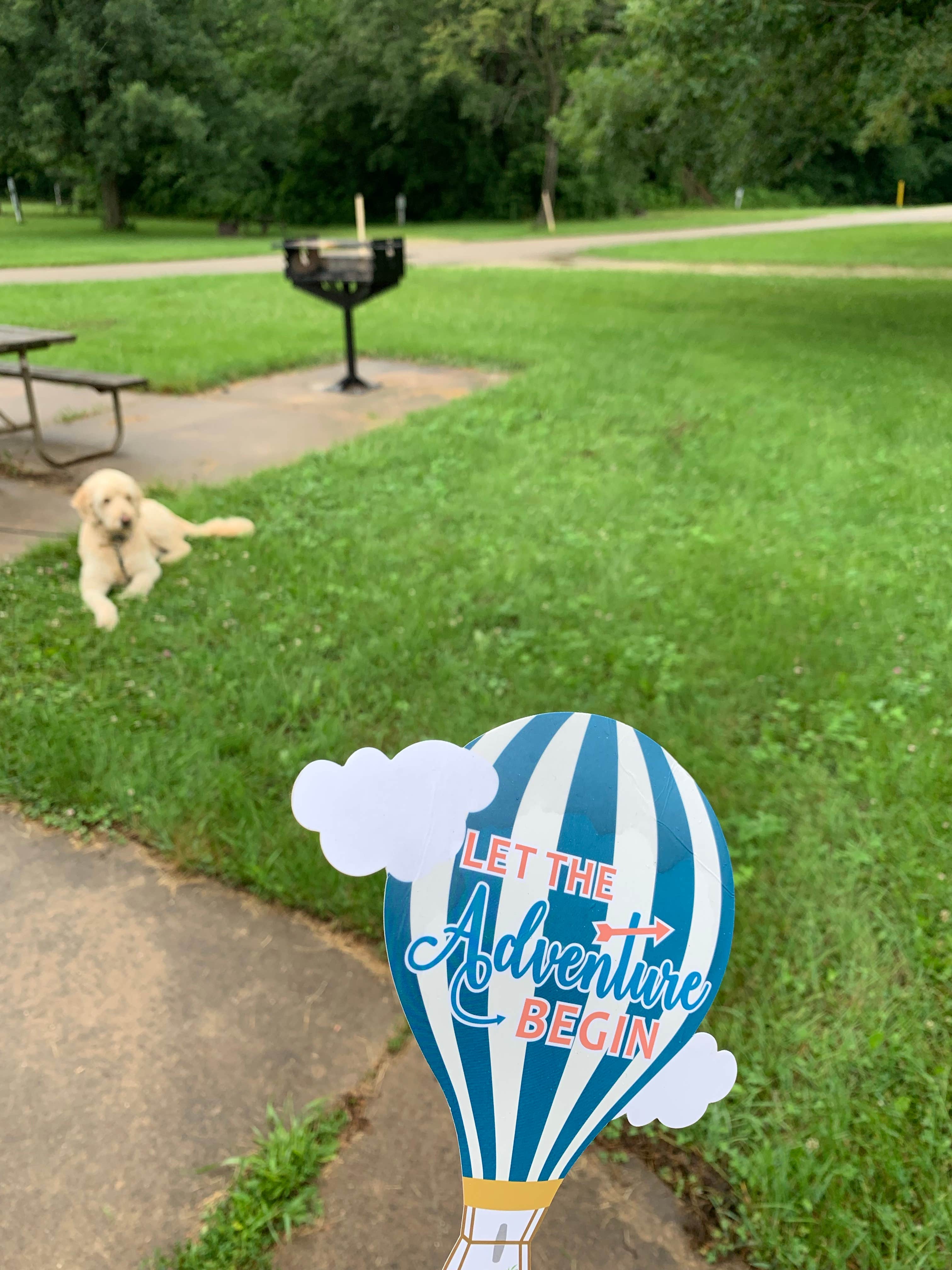 Stacy Z.'s photo of camping with pets at Starved Rock Campground — Starved Rock State Park near Pontiac, IL
