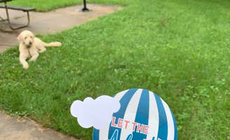 Stacy Z.'s photo of camping with pets at Starved Rock Campground — Starved Rock State Park in Illinois