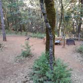 Review photo of Indian Grinding Rock State Historical Park Campground by Melissa S., July 17, 2021