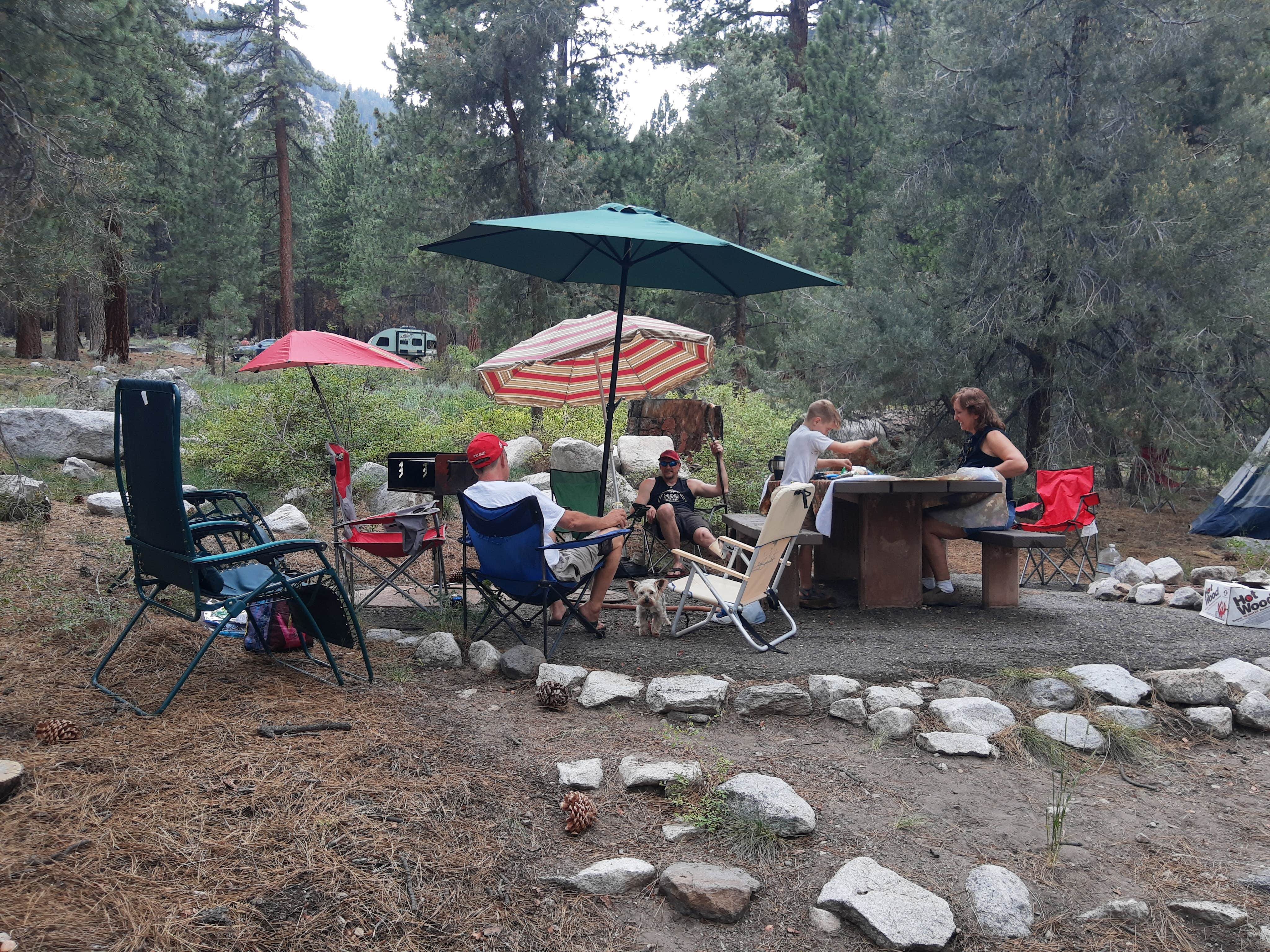 Camping near Desert Creek Campground: Bootleg — Humboldt Toiyabe National Forest Headquarters, Coleville, California