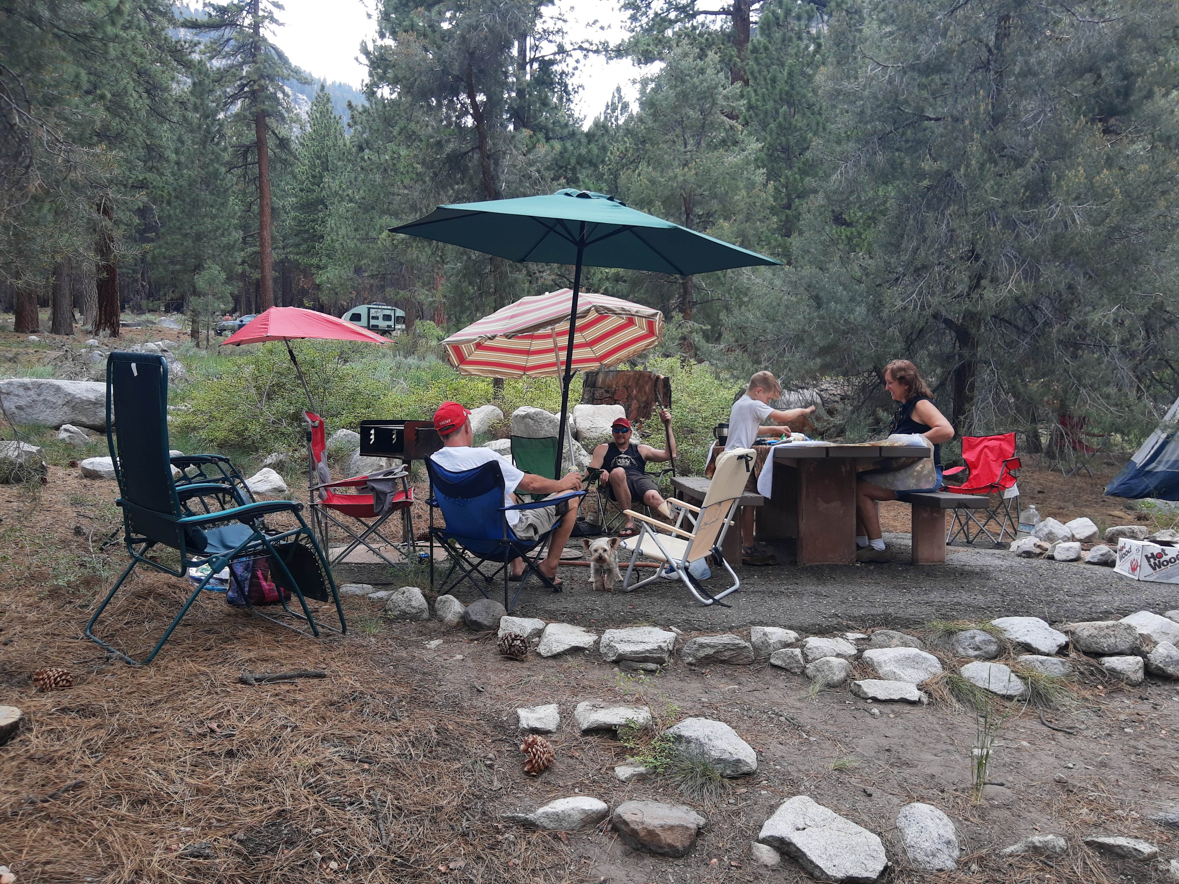 Camper submitted image from Bootleg — Humboldt Toiyabe National Forest Headquarters - 1