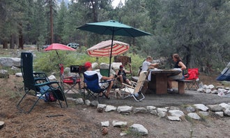 Camping near Desert Creek Campground: Bootleg Campground, Coleville, California
