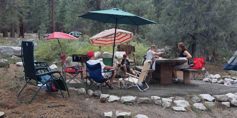 Camper submitted image from Bootleg — Humboldt Toiyabe National Forest Headquarters
