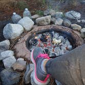 Review photo of Bootleg — Humboldt Toiyabe National Forest Headquarters by Melissa S., July 17, 2021