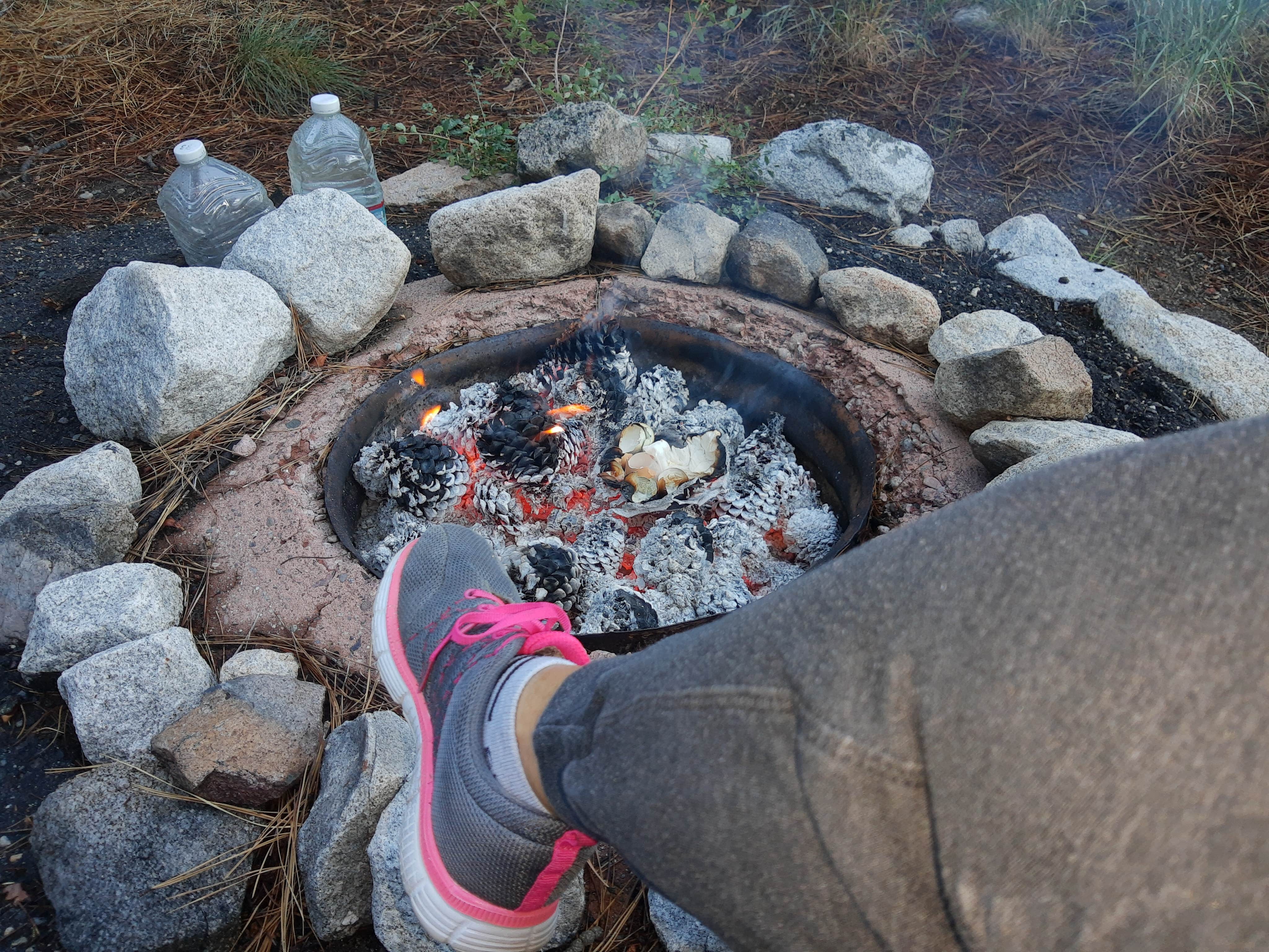 Camper submitted image from Bootleg — Humboldt Toiyabe National Forest Headquarters - 2