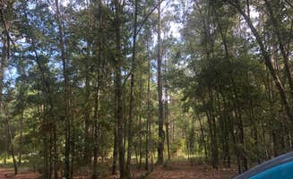 Chloe S.'s photo at Halfway Creek - Dispersed Camping near Bonneau, SC