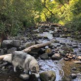 Review photo of Beacon Rock State Park Campground by Kathy B., July 17, 2021