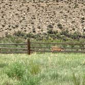 Review photo of Dugway Campground by Ray & Terri F., July 18, 2021