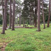 Review photo of Russellville Campground — Lake Dardanelle State Park by Kevin H., July 18, 2021