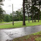 Review photo of Russellville Campground — Lake Dardanelle State Park by Kevin H., July 18, 2021