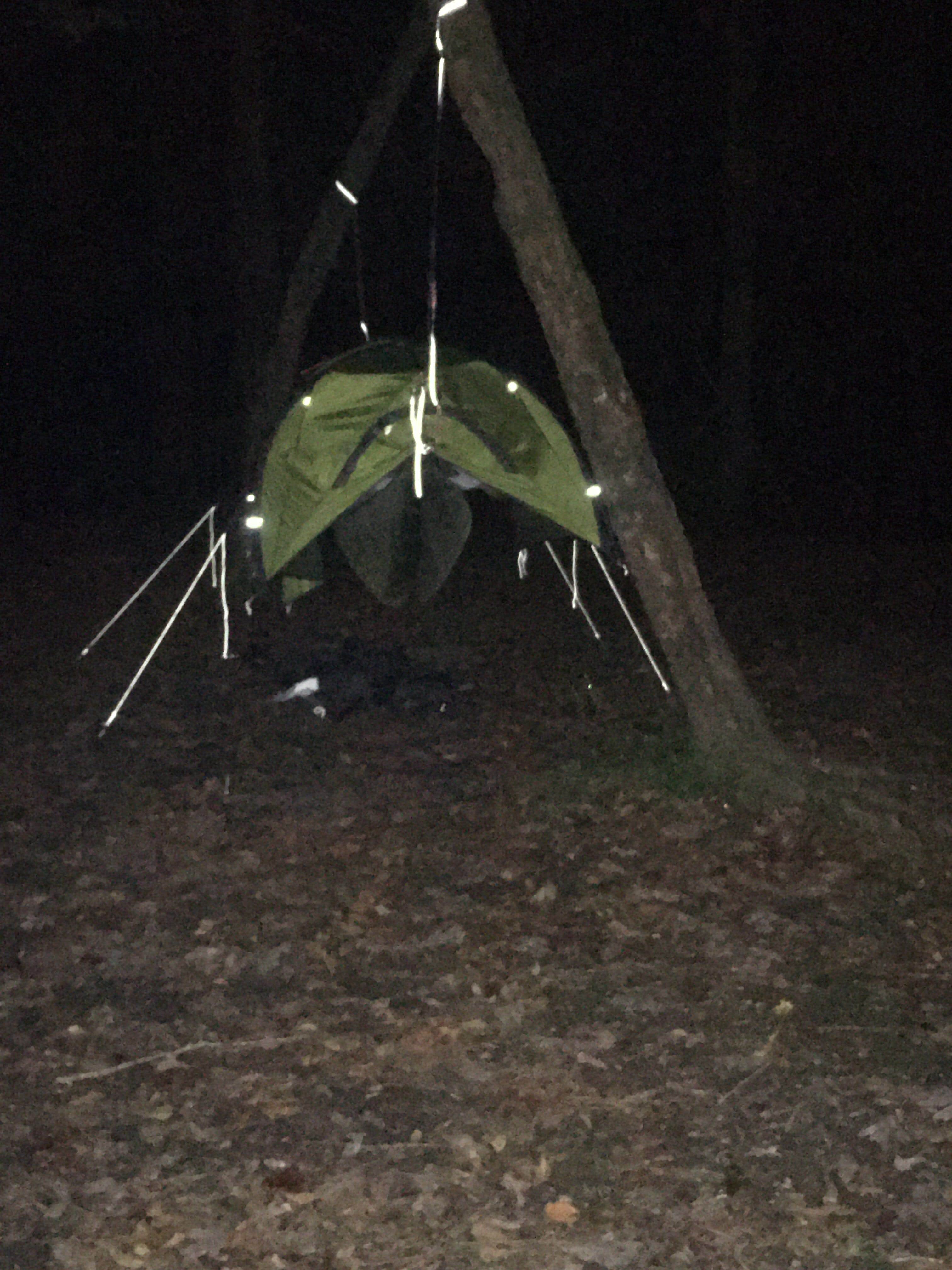 Camper-submitted photo at Givhans Ferry State Park Campground near Huger, SC