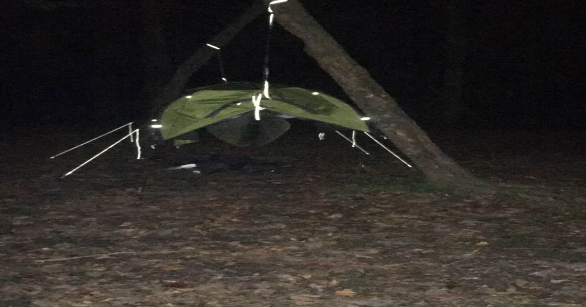 Givhans Ferry State Park - Main photo