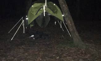 Melissa W.'s photo at Givhans Ferry State Park Campground near Ehrhardt, SC