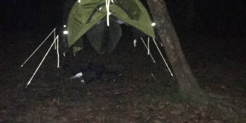 Camper submitted image from Givhans Ferry State Park Campground