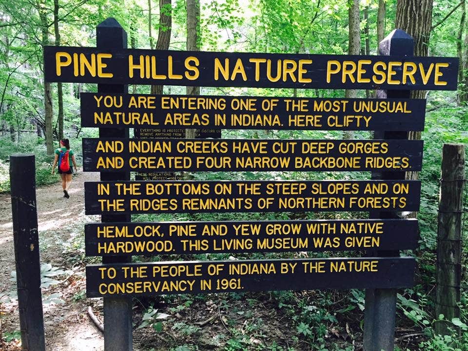 Camper submitted image from Shades State Park Campground - 5