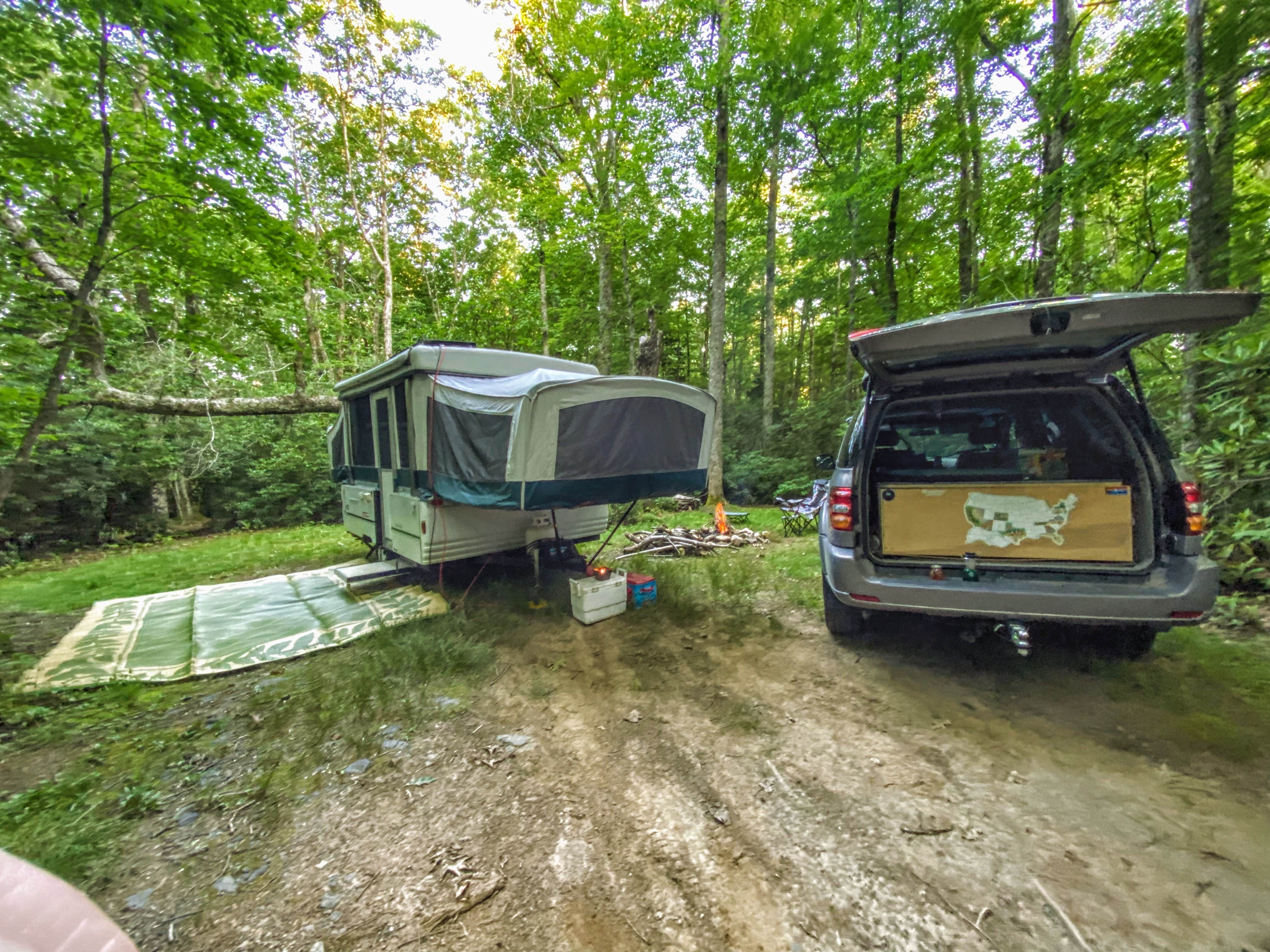Cassidy A.'s photo of a dispersed camping area at Victor Road Dispersed near Candler, NC