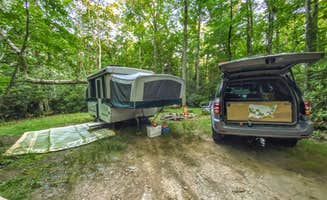 Cassidy A.'s photo of a dispersed camping area at Victor Road Dispersed near National Forests in North Carolina