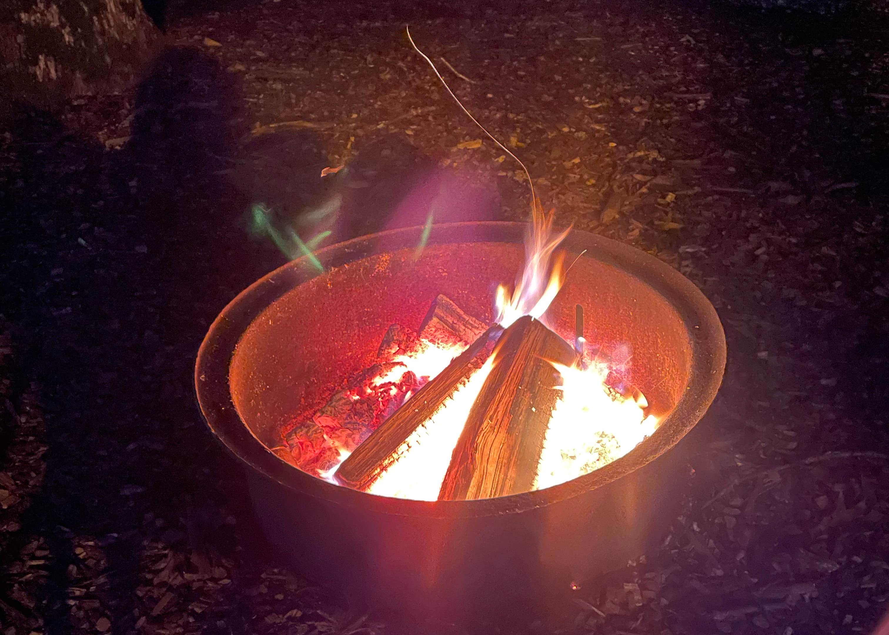 Black Bear Campground Camping The Dyrt