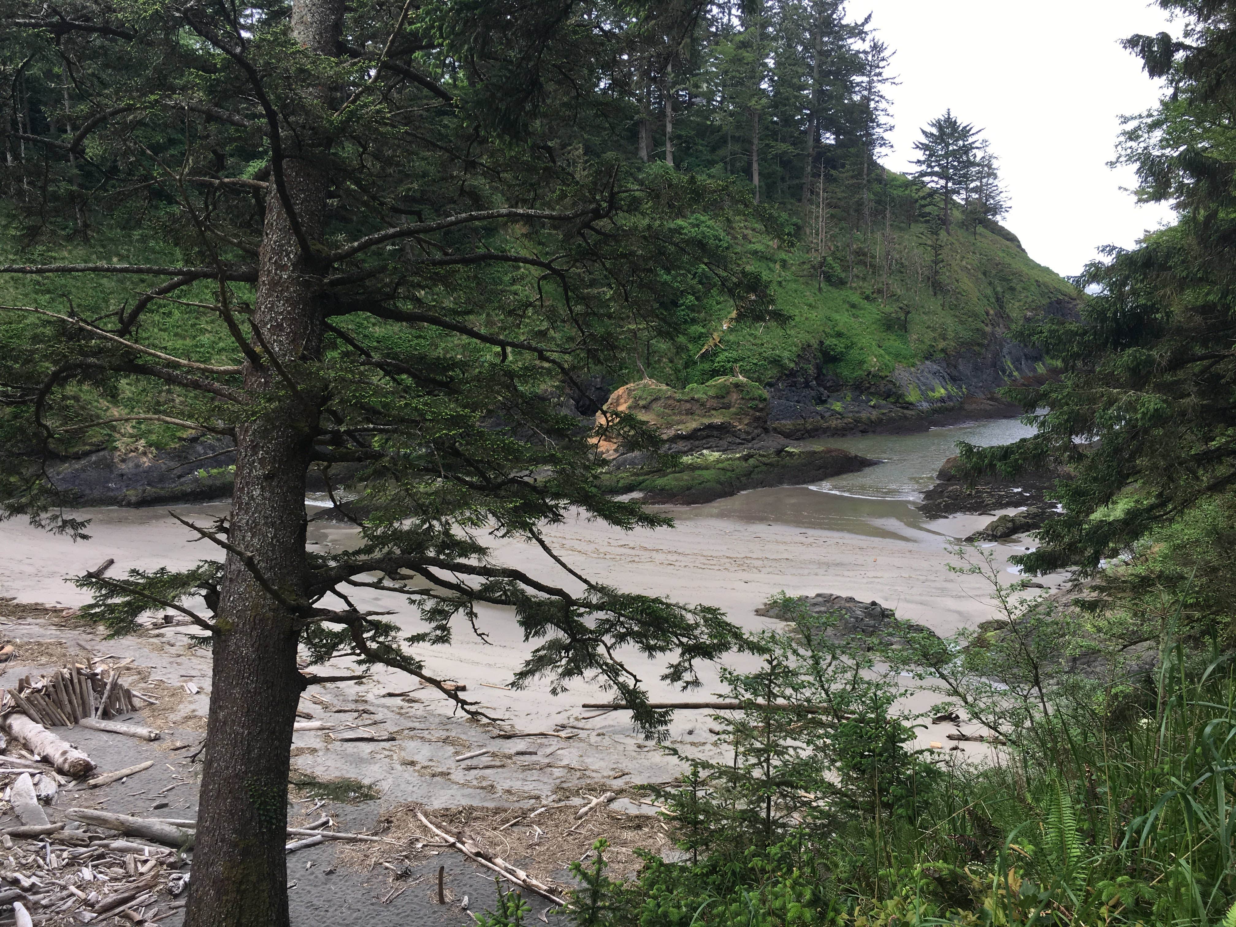 Camper-submitted photo at Cape Disappointment State Park Campground in Washington