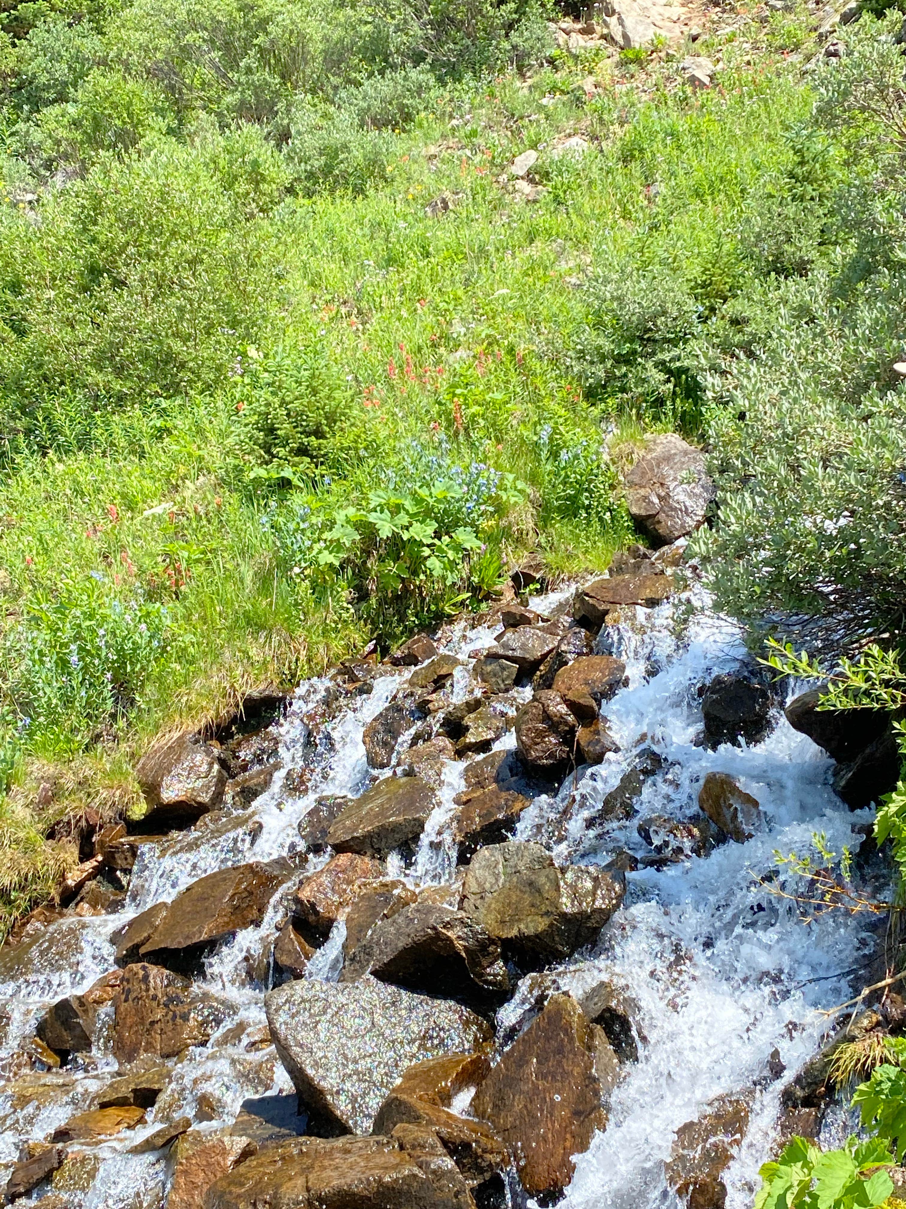 Camper submitted image from Caribu Lake V.I.A Arapahoe Pass Trail - 1