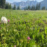 Review photo of Caribu Lake V.I.A Arapahoe Pass Trail by Mia S., July 18, 2021