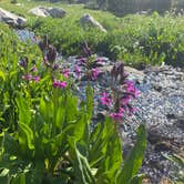 Review photo of Caribu Lake V.I.A Arapahoe Pass Trail by Mia S., July 18, 2021