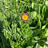 Review photo of Caribu Lake V.I.A Arapahoe Pass Trail by Mia S., July 18, 2021