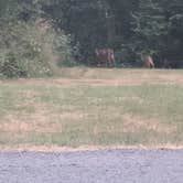 Review photo of Thousand Trails Chehalis by Jennifer , July 18, 2021