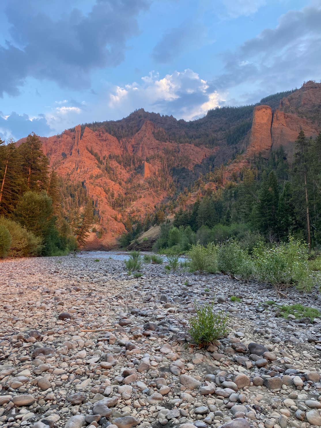 Newton Creek Campground The Dyrt