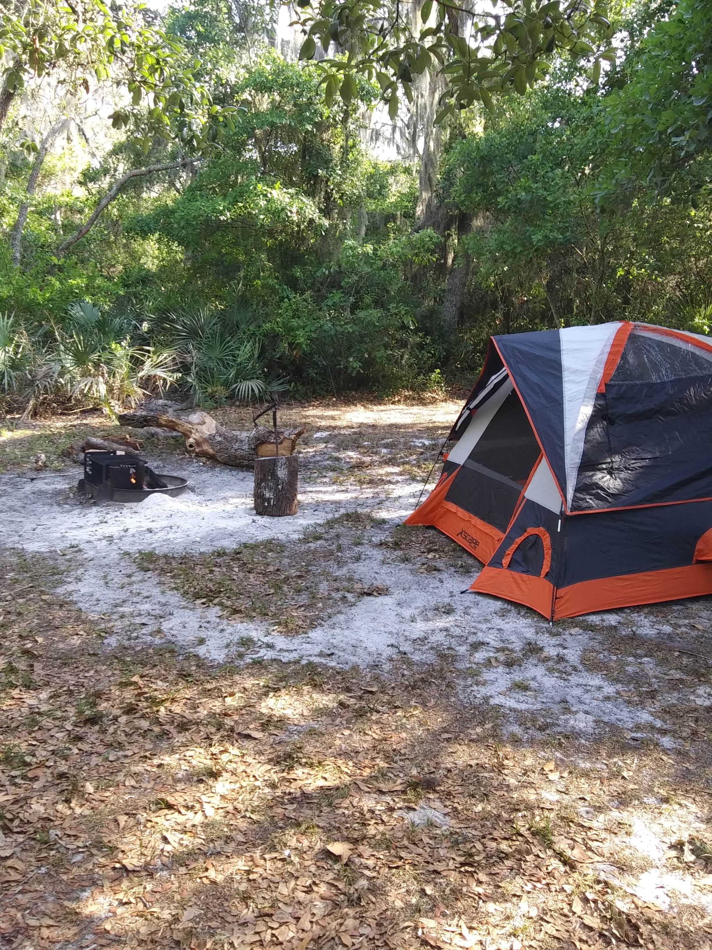 Camper submitted image from Alderman's Ford Conservation Park Primitive Campground - 1