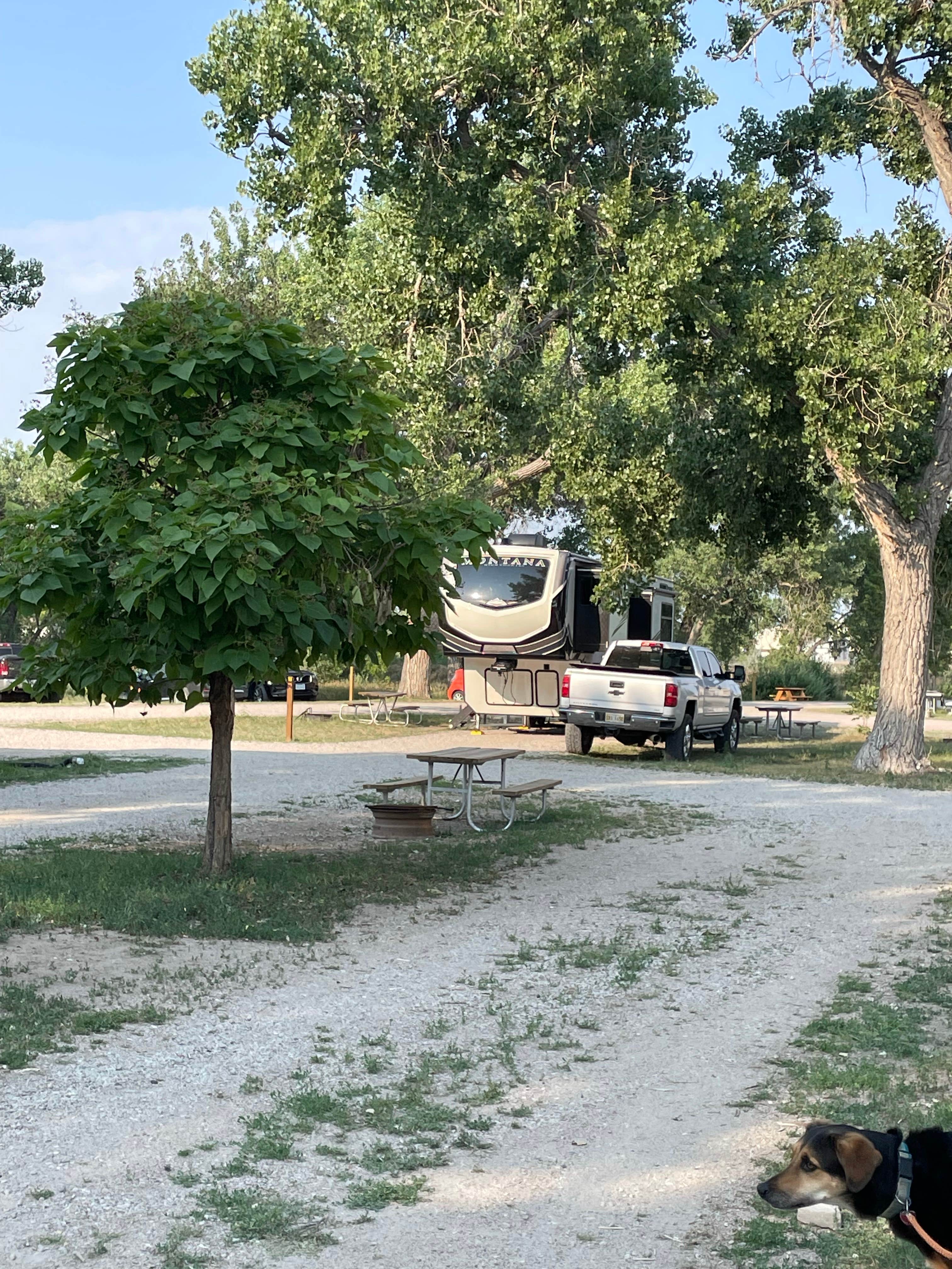 Yondering R.'s photo of camping with pets at Riverside Park Campground near Fort Laramie, WY
