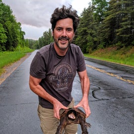 These snapping turtles are everywhere in the area!  This one needed some help crossing the road in the rain at dusk.