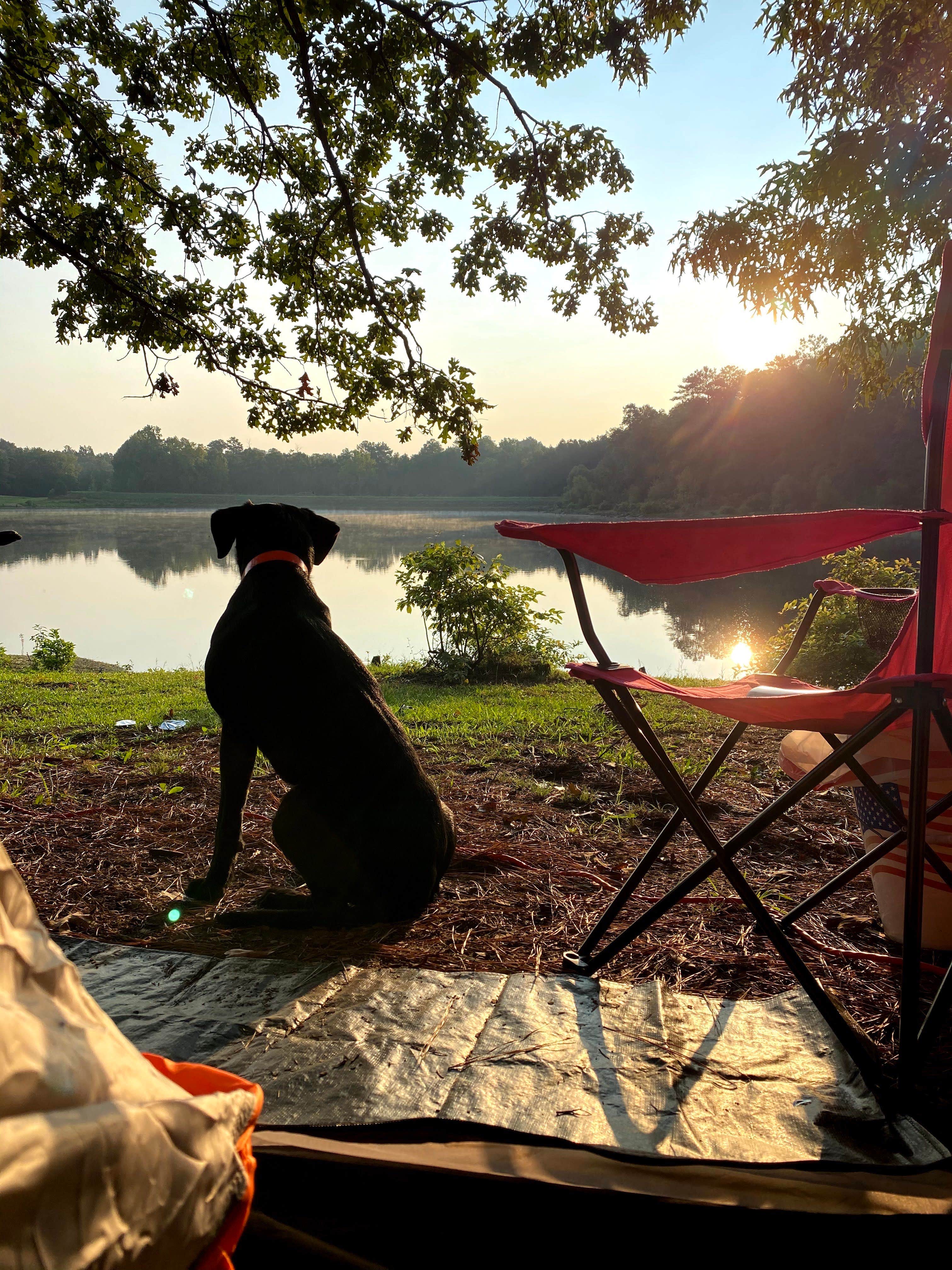 Zack K.'s photo of camping with pets at Tishomingo State Park Campground near Tupelo, MS