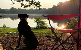 Zack K.'s photo of camping with pets at Tishomingo State Park Campground near Hodges, AL