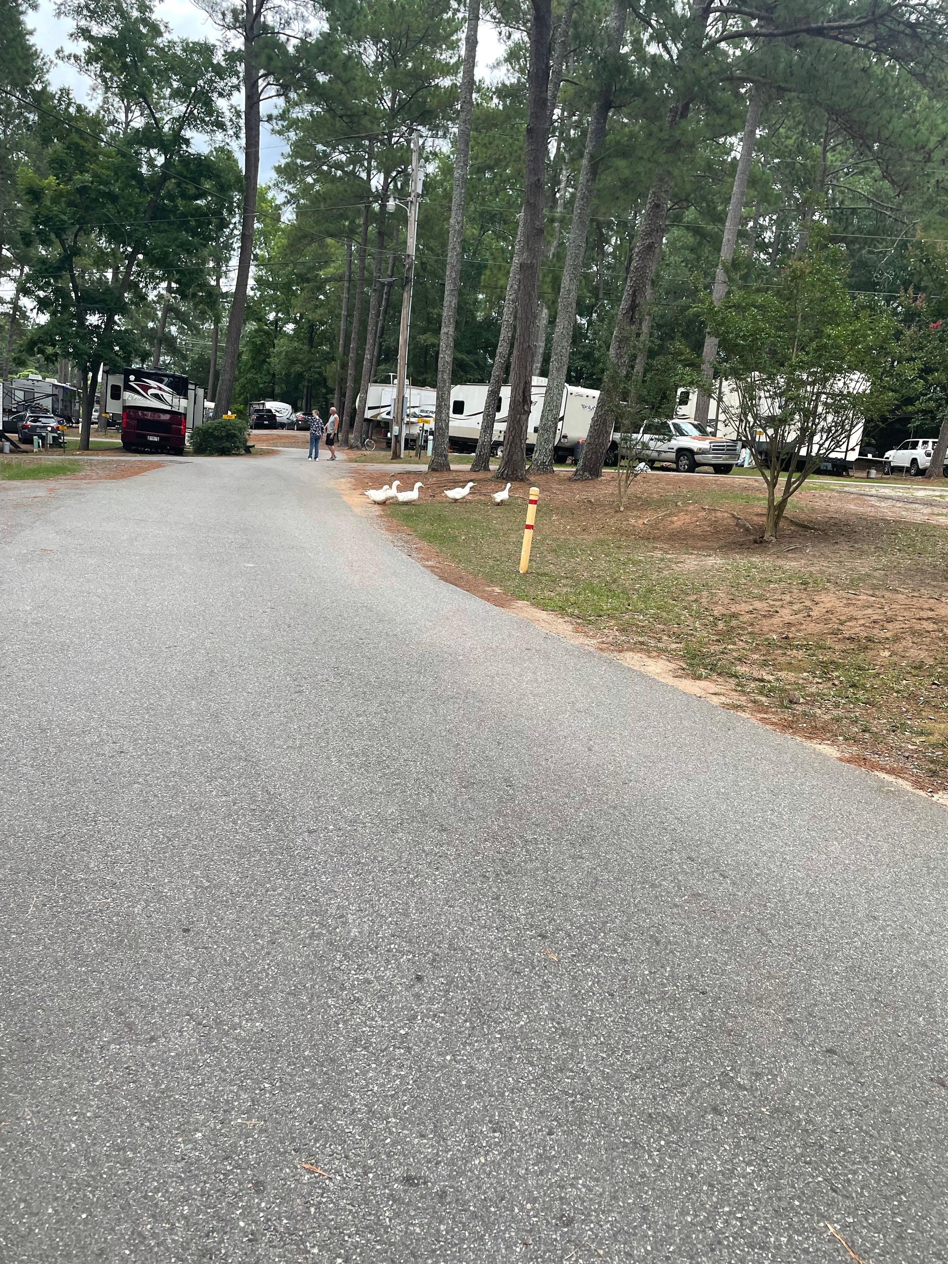 Camper submitted image from Forsyth KOA - 4