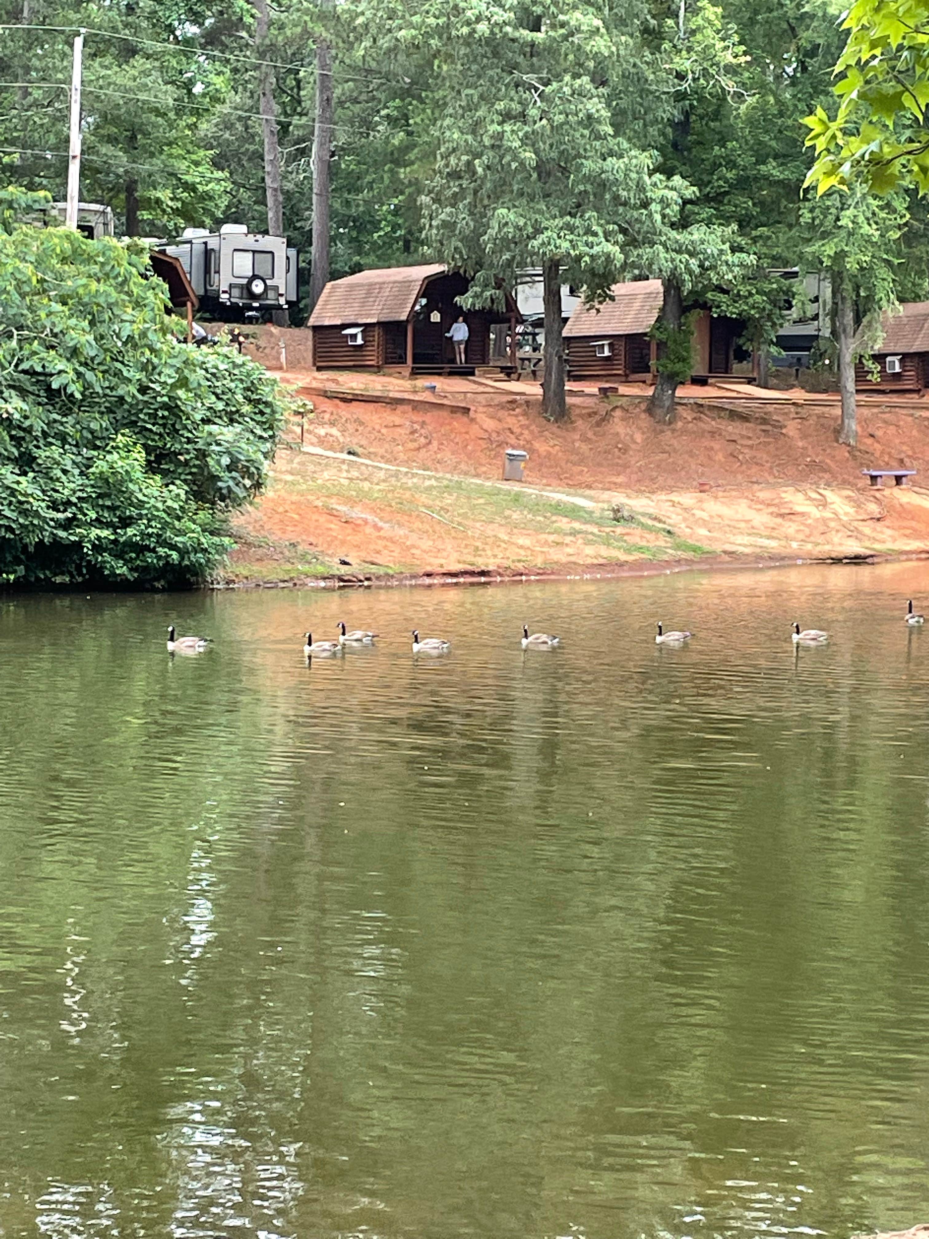 Camper submitted image from Forsyth KOA - 5