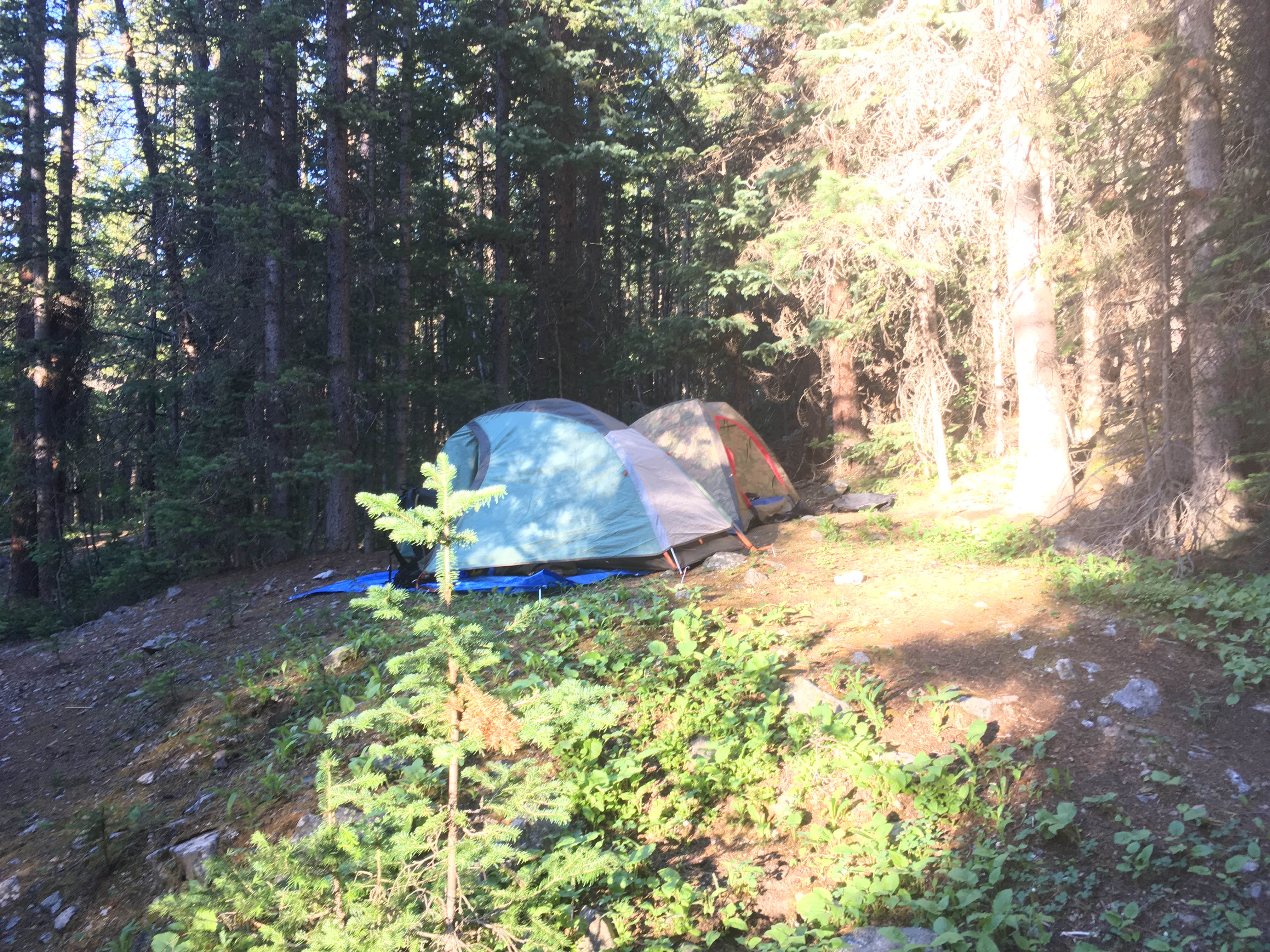 Matt M.'s photo at Colorado Campground near Larkspur, CO