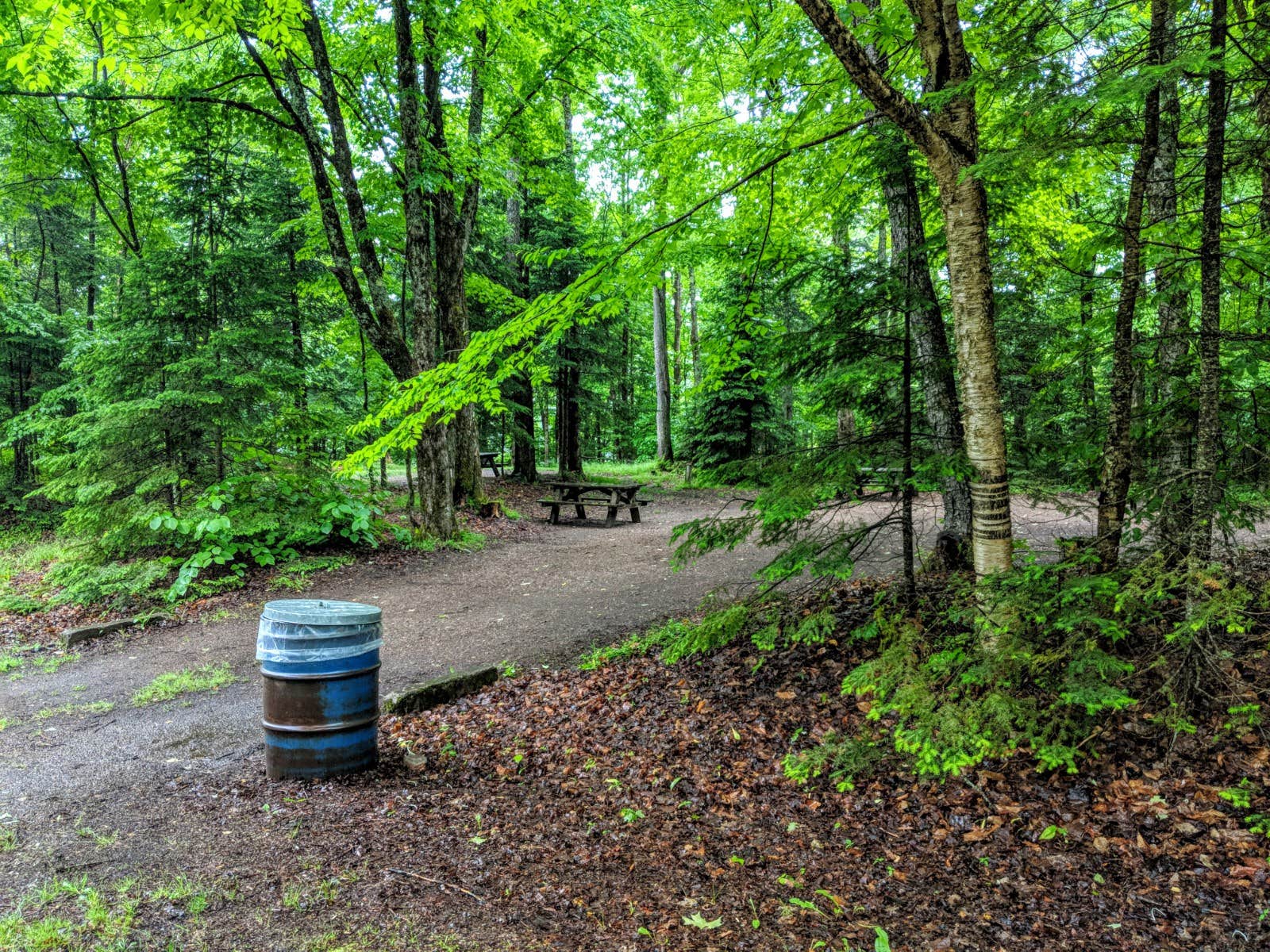Camper-submitted photo at Carry Falls Recreation Area near Newton Falls, NY