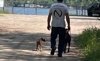 steve L.'s photo of camping with pets at Pats RV Park near Huron-Manistee National Forests