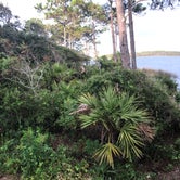 Review photo of Grayton Beach State Park Campground by Maria E., July 18, 2021
