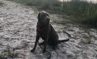 Maria E.'s photo of camping with pets at Grayton Beach State Park Campground near Panama City, FL