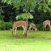 Review photo of Stephen Austin State Park by Stephen & Theresa B., July 18, 2021