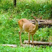 Review photo of Stephen Austin State Park Campground by Stephen & Theresa B., July 18, 2021