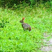 Review photo of Stephen Austin State Park Campground by Stephen & Theresa B., July 18, 2021