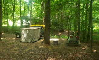 Tucker B.'s photo at Rifrafters Campground near Danese, WV