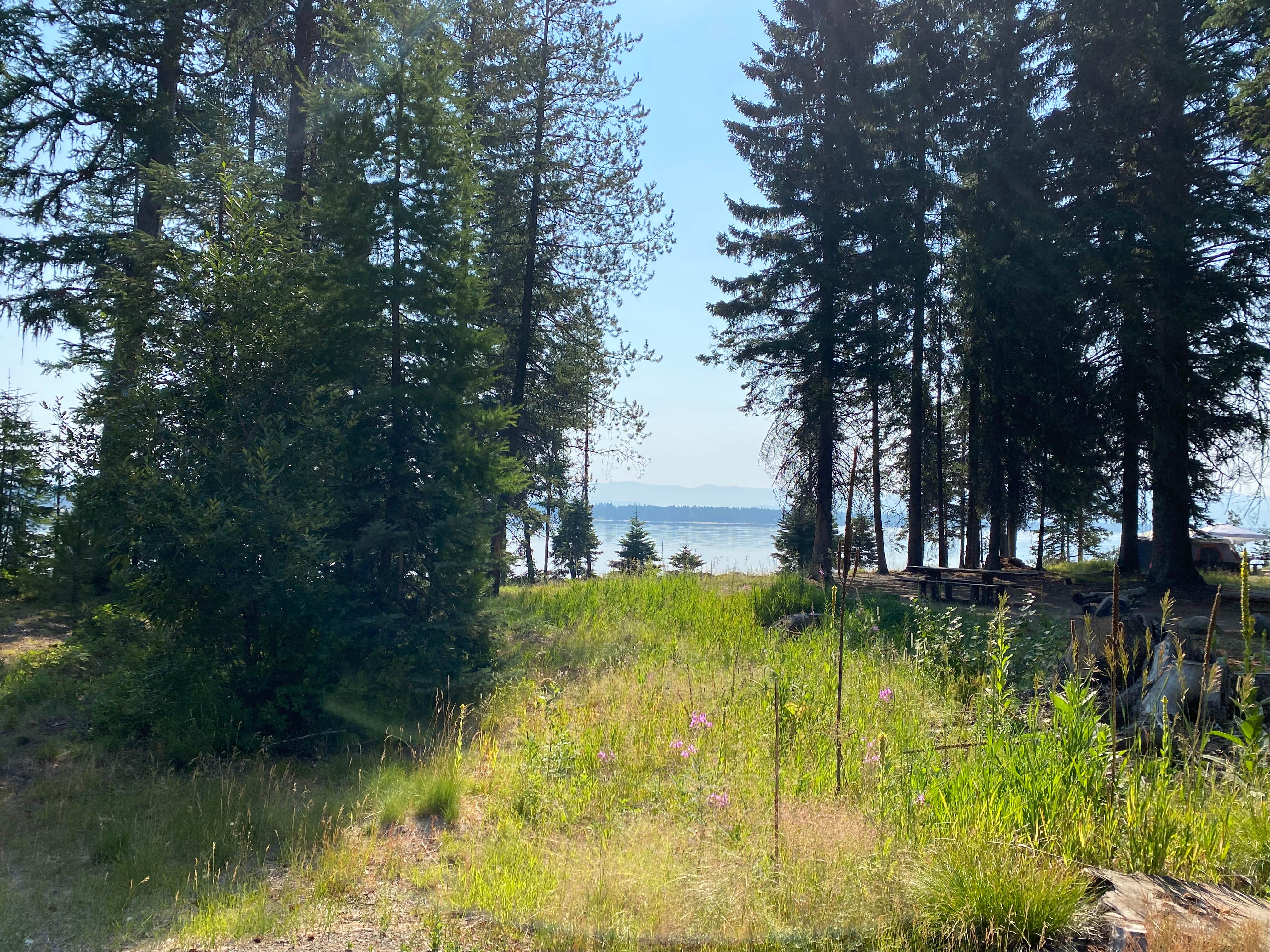 Camper-submitted photo at Amanita near McCall, ID