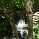 Review photo of Leonard Harrison State Park — Leonard Harrison State Park by Tucker B., July 18, 2021