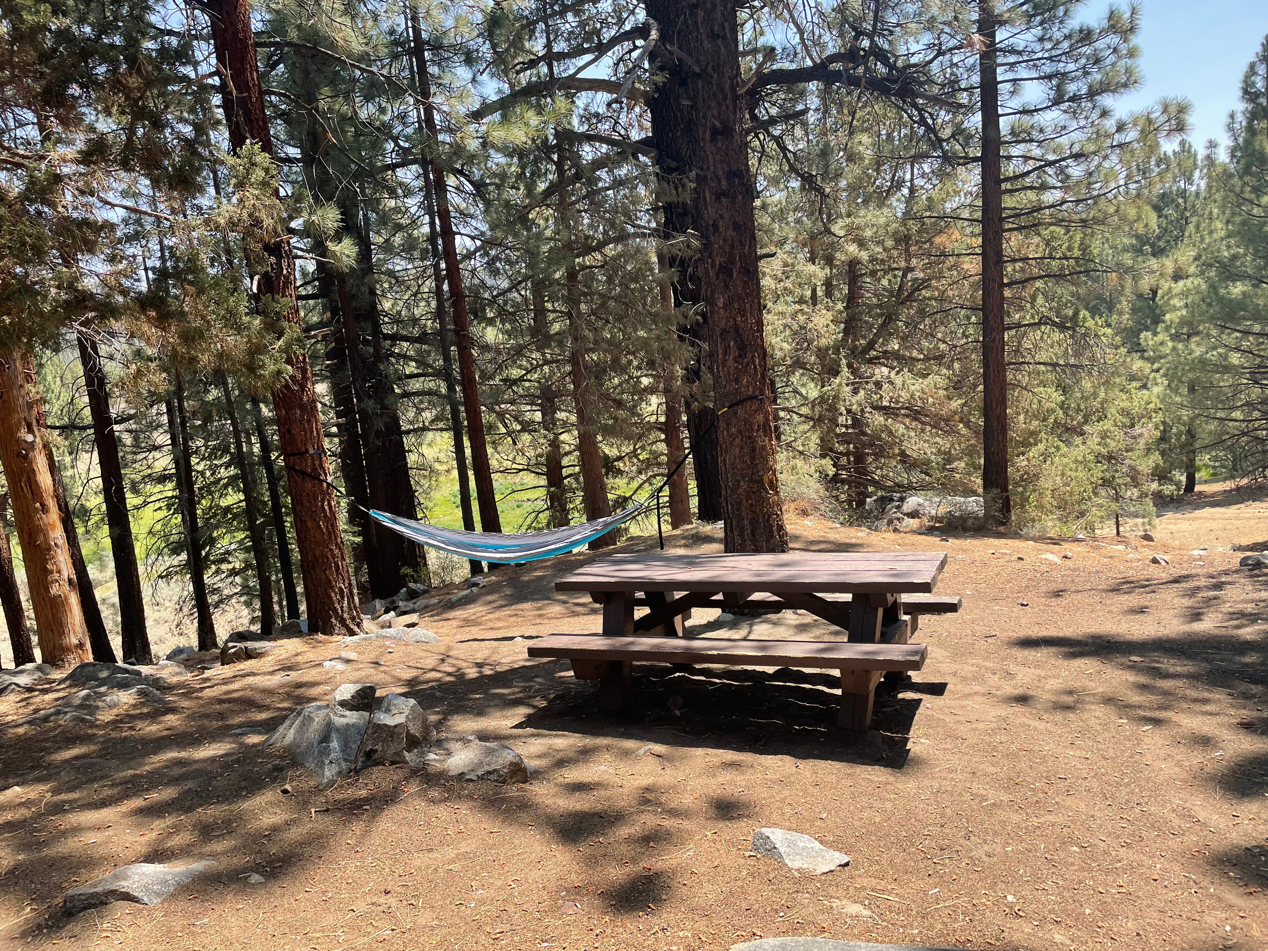Camper submitted image from Sequoia National Forest Fish Creek Campground - 3