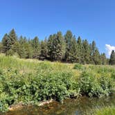 Review photo of Sequoia National Forest Fish Creek Campground by Carrie , July 18, 2021