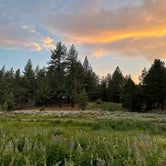 Review photo of Sequoia National Forest Fish Creek Campground by Carrie , July 18, 2021